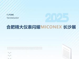 火爆收官！合肥精大儀表閃耀MICONEX長(zhǎng)沙展