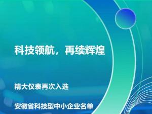 科技領(lǐng)航，再續(xù)輝煌！——合肥精大儀表股份有限公司