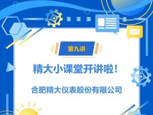 船用橢圓齒輪流量計(jì)介紹